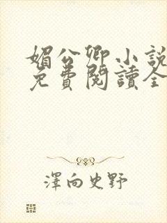 媚公卿小说全文免费阅读全文