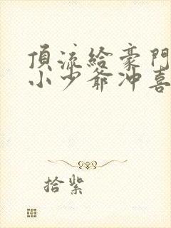 顶流给豪门病弱小少爷冲喜后txt封面