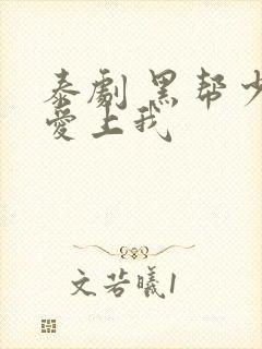 泰剧 黑帮少爷爱上我