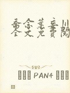 乔念叶妄川正版全文免费阅读最新笔趣阁