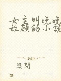 女主叫晚晚男主姓顾的小说