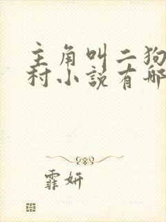 主角叫二狗的乡村小说有哪些封面