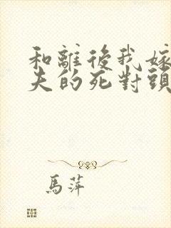 和离后我嫁给前夫的死对头小说