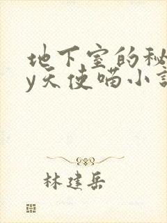 地下室的秘密by天使喵小说免费阅读