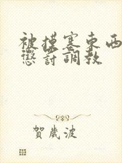 被摸塞东西进去惩罚调教封面