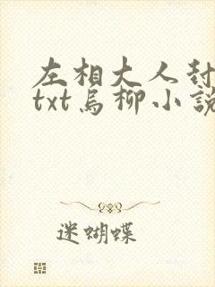 左相大人封后记txt乌柳小说封面