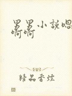 男男小说嗯嗯啊啊啊