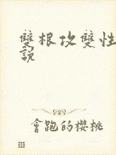 双根攻双性受小说封面