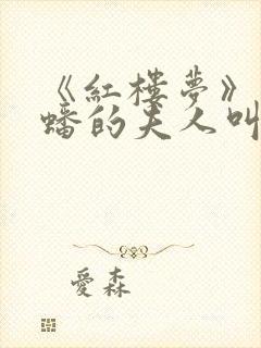 《红楼梦》中薛蟠的夫人叫什么?