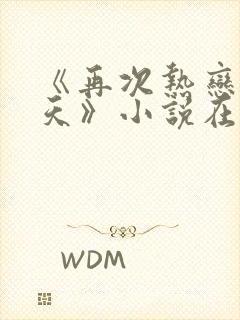 《再次热恋的夏天》小说在线阅读封面