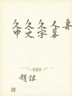 久久久人妻精品中文字幕