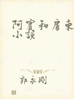 阿宾和房东太太小说