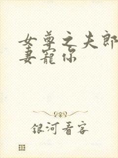 女尊之夫郎,为妻宠你