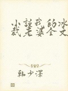 小说我的冰山总裁老婆全文阅读