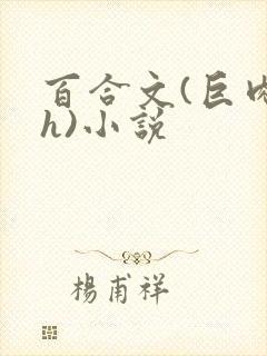 百合文(巨肉高h)小说封面