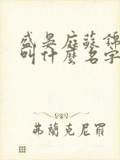 盛晏庭苏锦小说叫什么名字