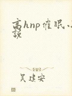 高hnp催眠小说封面