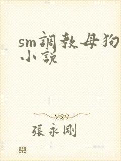 sm调教母狗奴小说