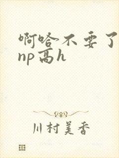 啊哈不要了男男np高h