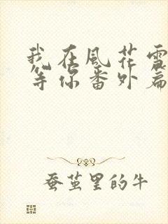 我在风花雪月里等你番外篇封面