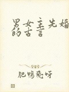 男女主先婚后爱的古言