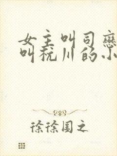 女主叫司恋男主叫杭川的小说名字