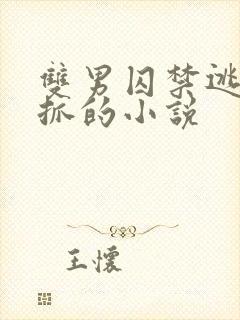 双男囚禁逃跑被抓的小说