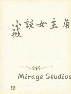 小说女主角叫沈薇