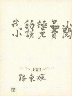 我的极品小姨的小说免费阅读封面