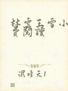 林云王雪小说免费阅读