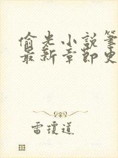 偷光小说笔趣阁最新章节更新时间