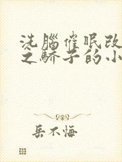 洗脑催眠改造天之骄子的小说