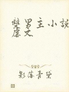 双男主小说推文虐文