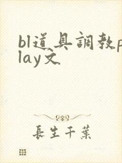 bl道具调教play文封面