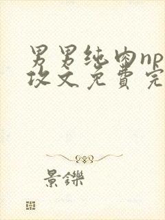 男男纯肉np互攻文免费完整