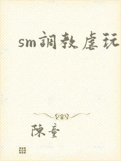 sm调教虐玩文封面