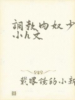 调教肉奴少司缘小h文