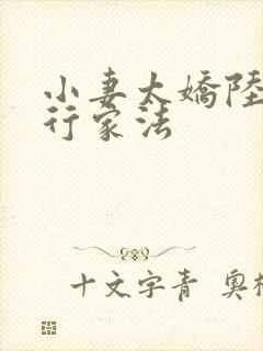 小妻太娇陆爷执行家法封面