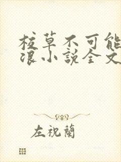 校草不可能这么浪小说全文免费阅读