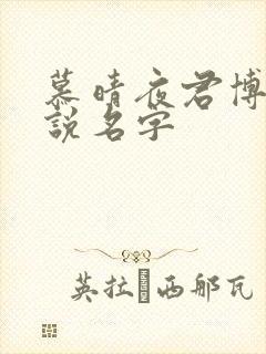 慕晴夜君博的小说名字封面