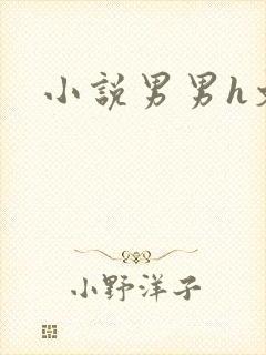 小说男男h文封面
