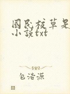 国民校草是女生小说txt