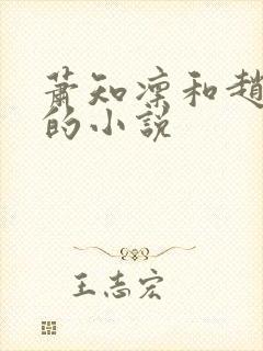 萧知凛和赵欢宜的小说封面