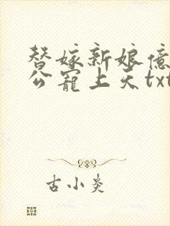 替嫁新娘亿万老公宠上天txt下载全本封面