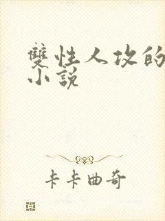 双性人攻的高h小说