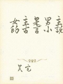 女主是男主皇姐的古言小说封面