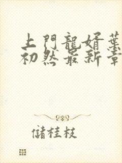 上门龙婿叶辰萧初然最新章节免费阅读