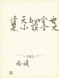 清天by啥也不是小说全文免费阅读