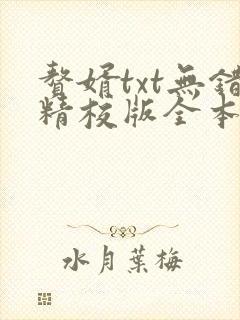 赘婿txt无错精校版全本下载