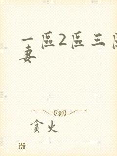 一区2区三区人妻